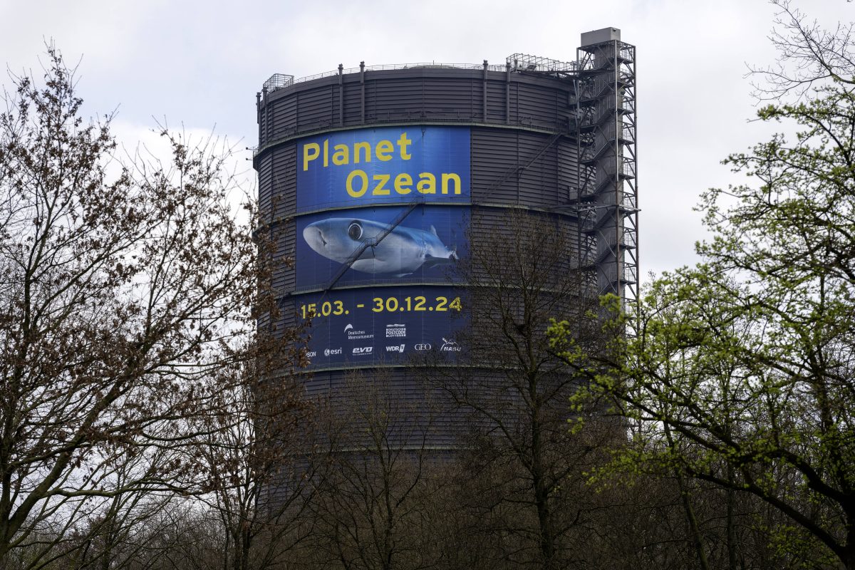 Gasometer Oberhausen: Plötzlich geht die Nachricht um – Besucher können es nicht fassen