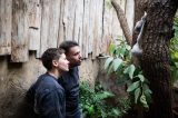 Bakterien-Alarm im Zoo Duisburg: Tierpark meldet sich zum Koala-Sterben zu Wort.