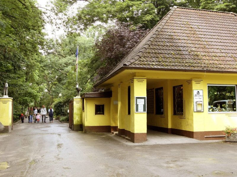 Zoo in NRW: PlÃ¶tzlich sind Ã¼berall Baustellen â€“ das steckt dahinter