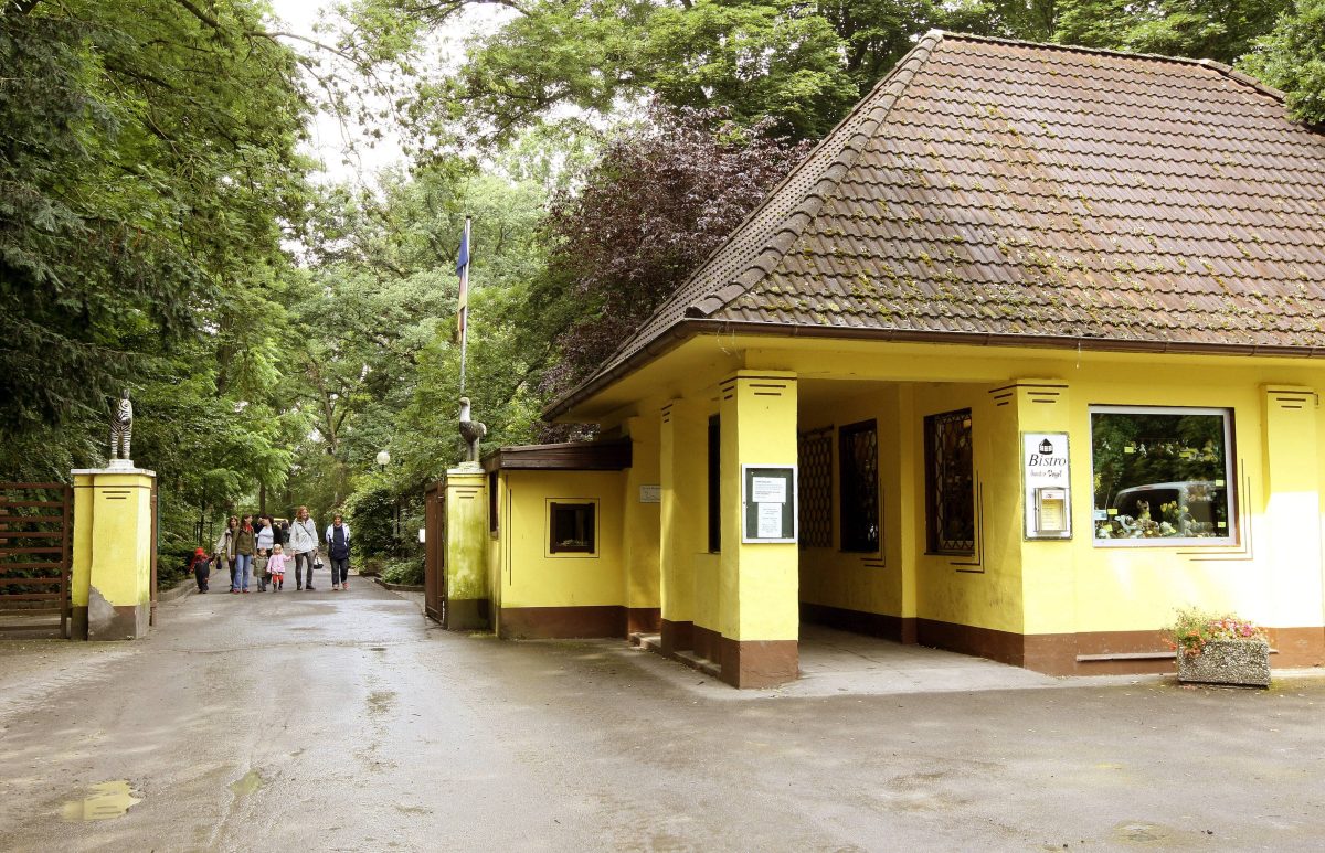 Zoo in NRW: Plötzlich sind überall Baustellen – das steckt dahinter