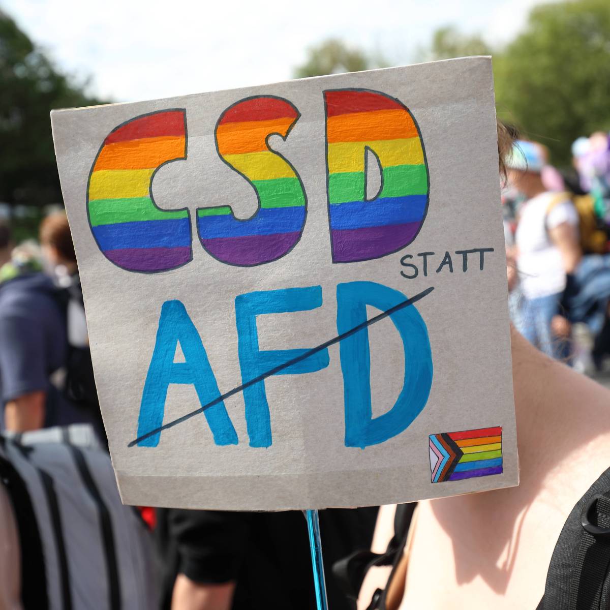 AfD als die Schwulen-Partei? Vorsicht, diese Umfrage kann auch täuschen