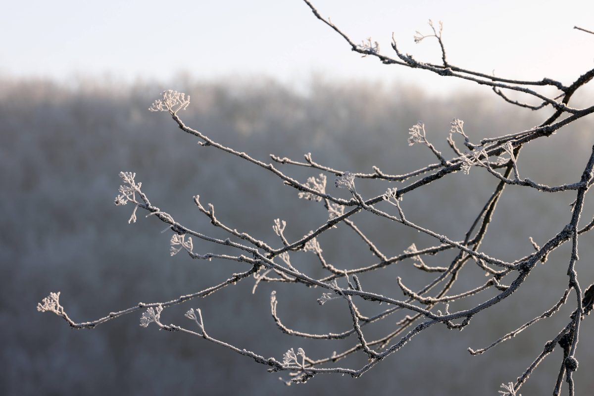 Wetter in NRW: Experte fürchtet „Kältehoch“ – das kommt auf uns zu