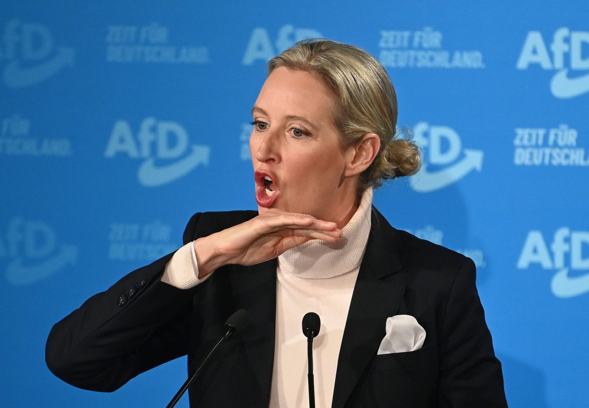 Kampfwort „Remigration“: Was die AfD in Deutschland wirklich vor hat