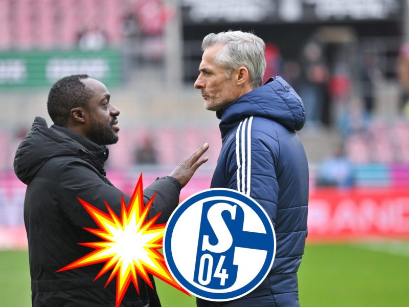 FC Schalke 04: Bericht sorgt fÃ¼r blankes Entsetzen â€“ stand van Wonderen bereits vor dem Aus?