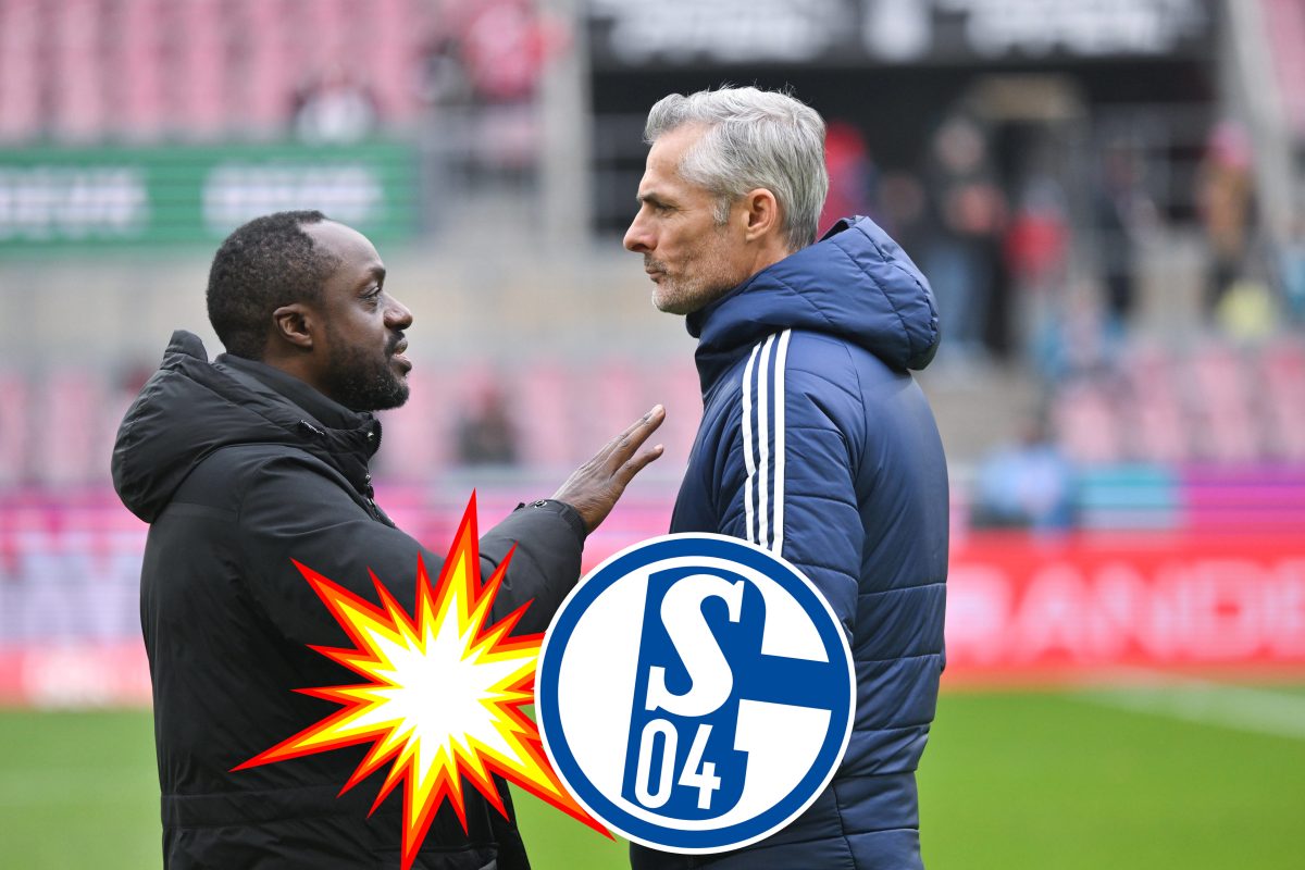 FC Schalke 04: Bericht sorgt für blankes Entsetzen – stand van Wonderen bereits vor dem Aus?