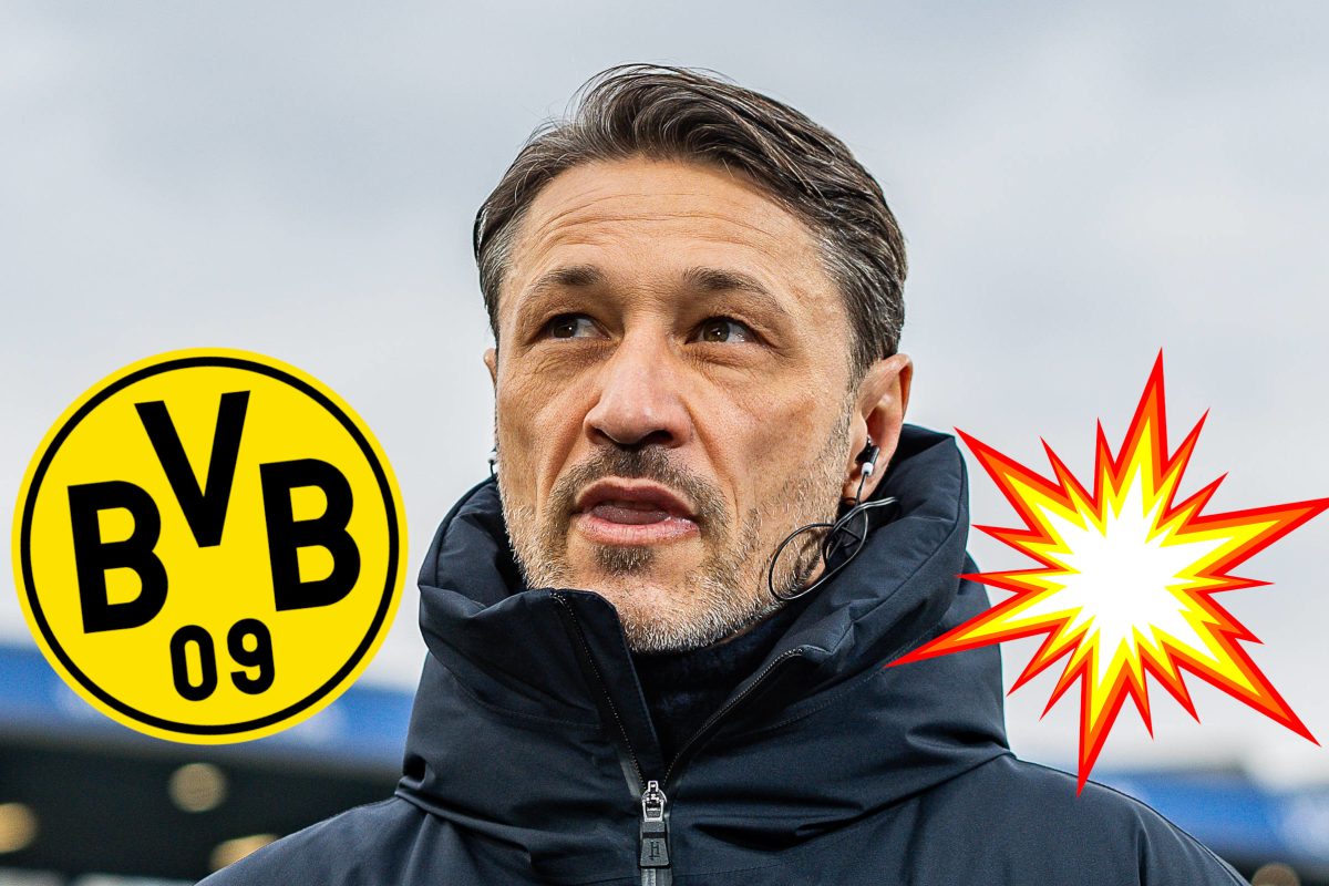 Borussia Dortmund: Vulkan