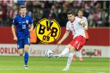 Borussia Dortmund: Petar Sucic