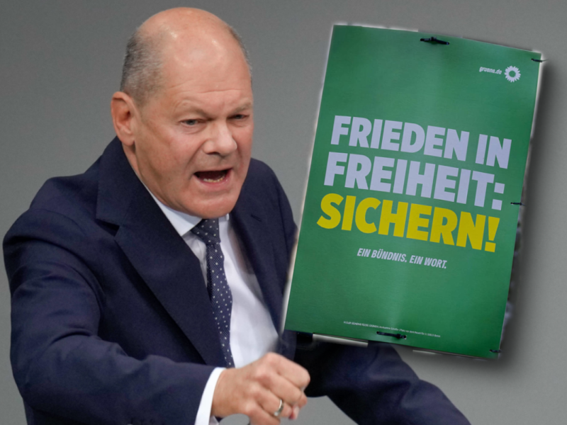 Scholz soll wegen GrÃ¼nen-Politiker ausgetickt sein: â€žAntipatriotische ArschlÃ¶cherâ€œ