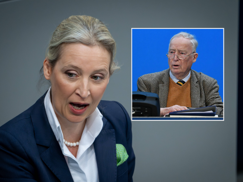 Selbst Gauland reicht es jetzt mit Weidel â€“ â€žNatÃ¼rlich nichtâ€œ