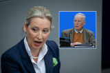 Alexander Gauland widerspricht der Hitler-Aussage von AfD-Chefin Alice Weidel.