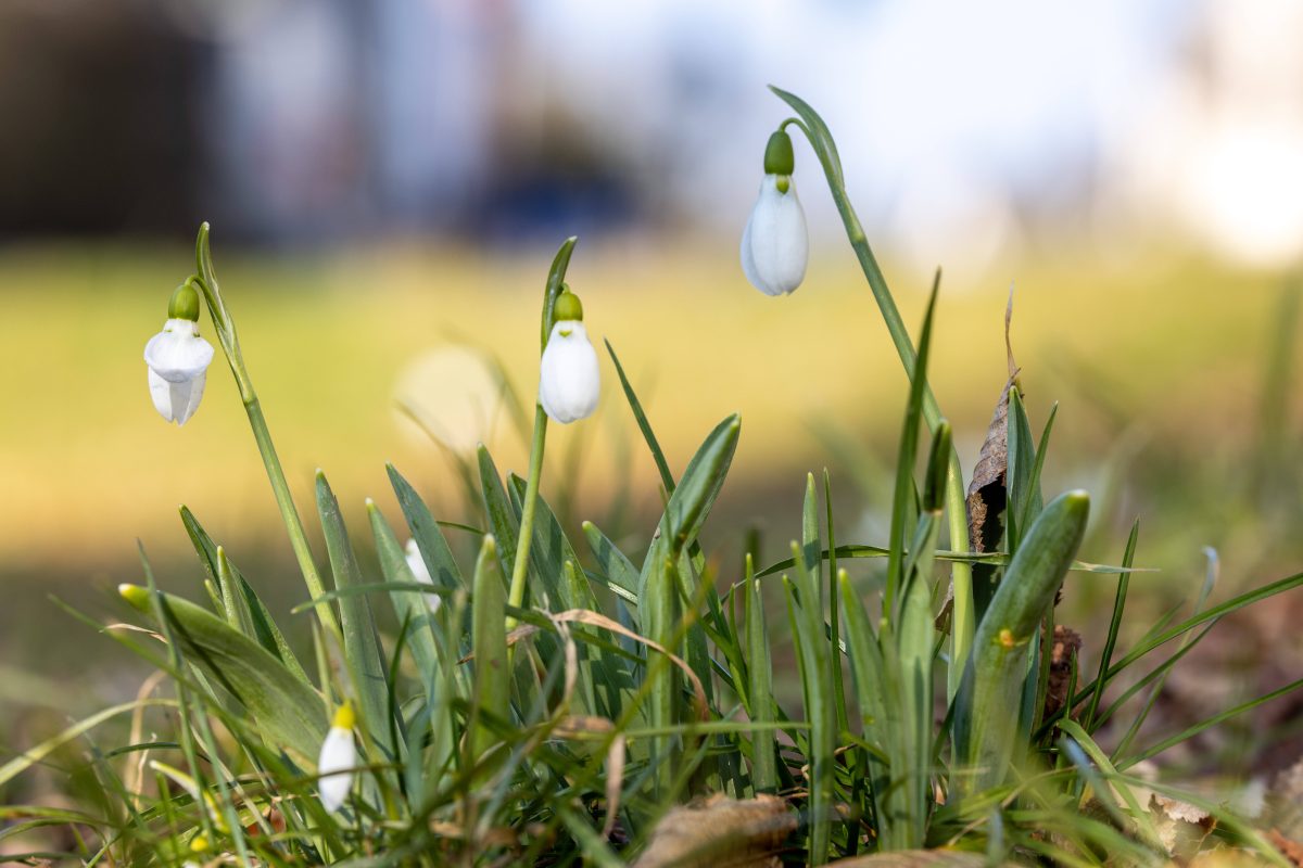 wetter-in-nrw-legt-krachende-wende-ein-total-verr-ckt