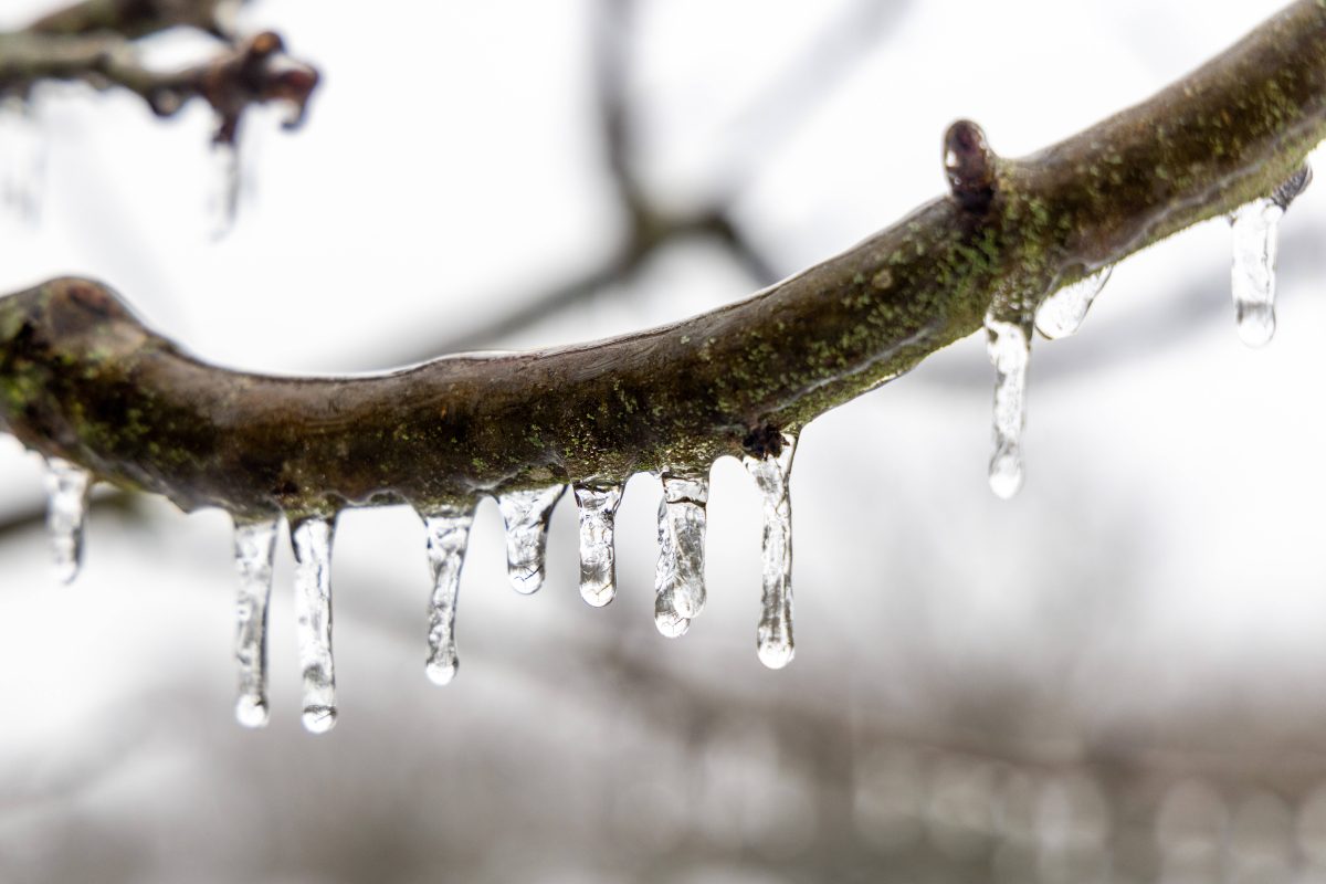 Wetter in NRW: Sibirische Kälte im Anflug? „Alles ist möglich“