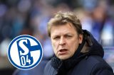 FC Schalke 04: Youri Mulder