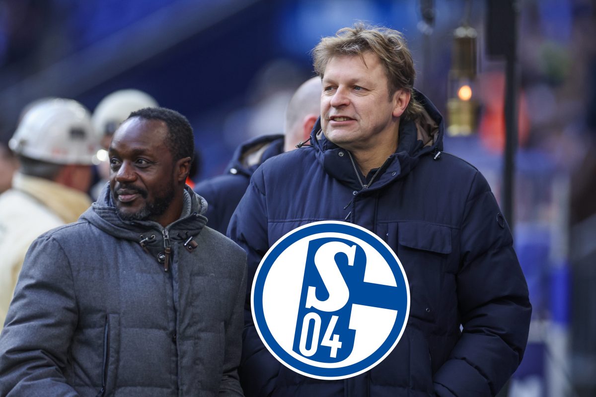 FC Schalke 04: Youri Mulder