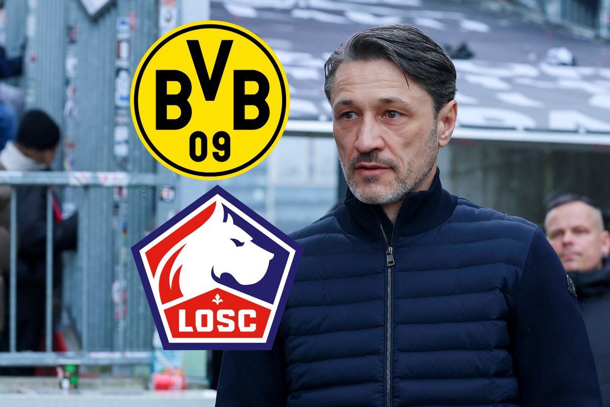 bvb-lille-kovac-ergreift-sofort-die-chance-m-chte-das-gleich-klarstellen