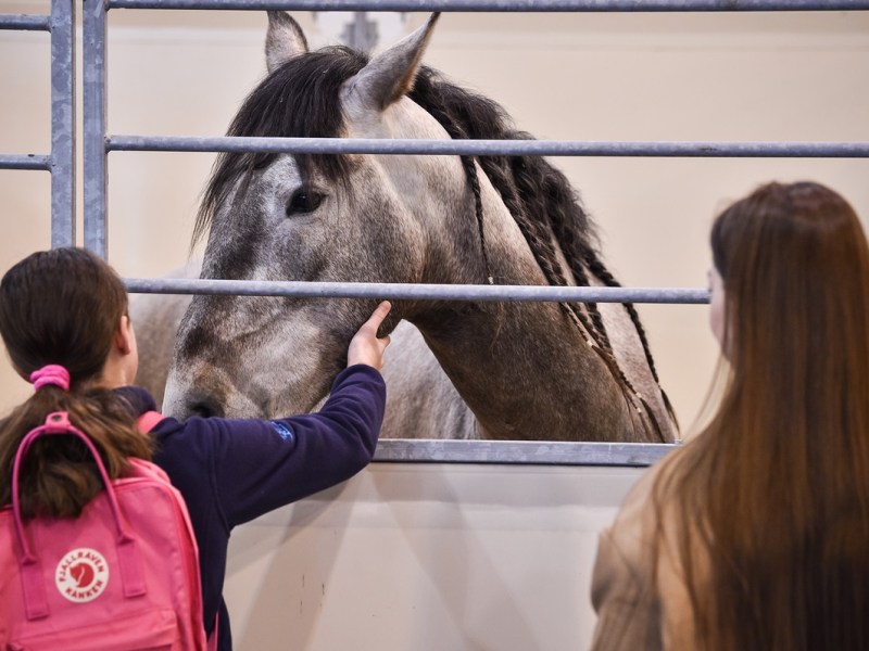 Equitana in Essen: Kurz vor dem Ende passiert es â€“ Veranstalter muss reagieren