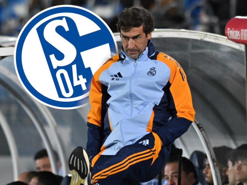 FC Schalke 04: Raul, der Retter? Erster Widerstand wird laut!