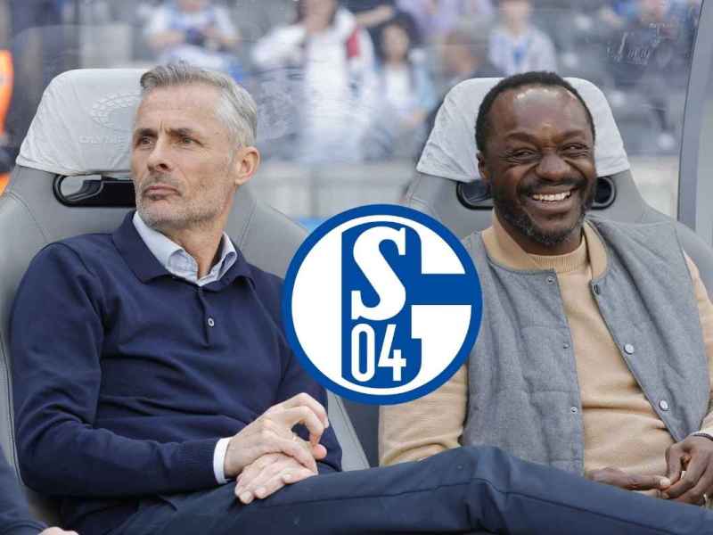 FC Schalke 04: NÃ¤chste Mega-News nach Hertha-Sieg â€“ S04 jubelt doppelt