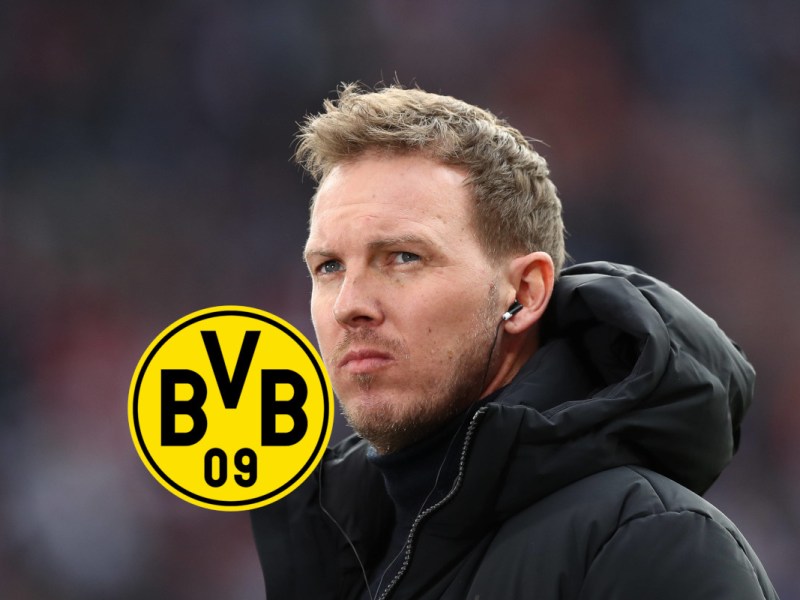 Borussia Dortmund: Nagelsmann-Klartext! Bundestrainer fÃ¤llt knallhartes BVB-Urteil