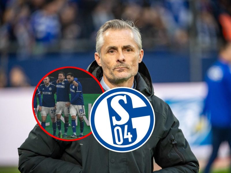 FC Schalke 04 atmet auf! Gute Nachrichten fÃ¼r Kees van Wonderen und Co.