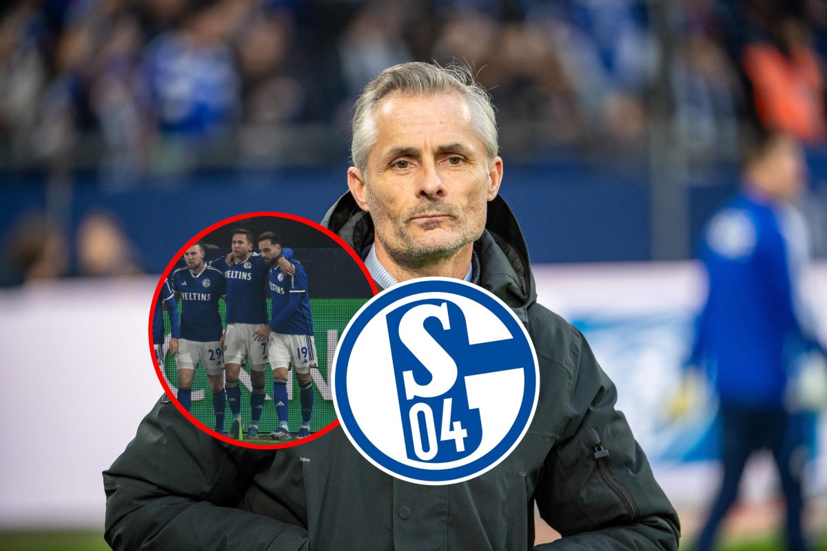 Frohe Kunde fÃ¼r den FC Schalke 04! Nach dem knappen Sieg gegen MÃ¼nster gibt es gute Nachrichten fÃ¼r KÃ¶nigsblau.