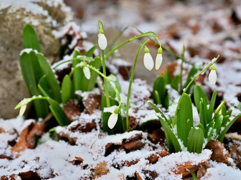 â€žKaramba-Wetterâ€œ bringt plÃ¶tzlich wieder Schnee â€“ was steht NRW bevor?