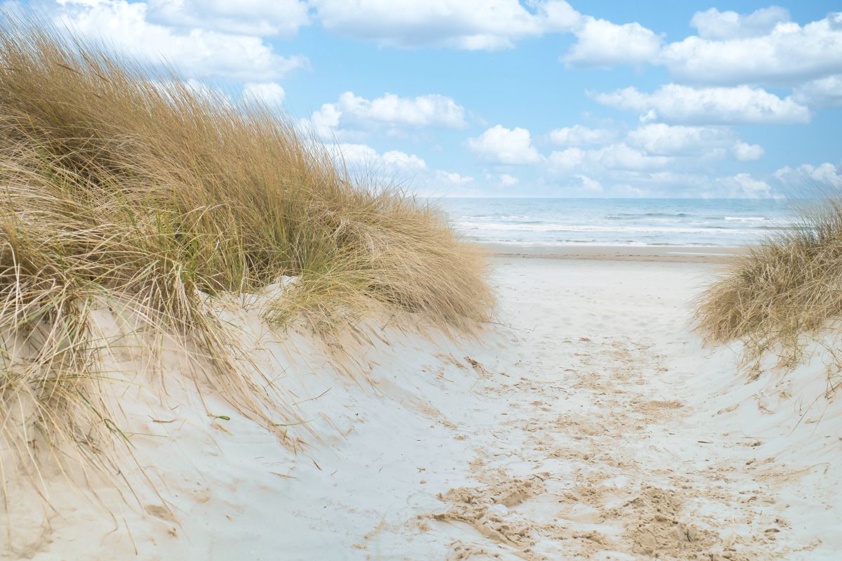 Urlaub an der Ostsee: Mann legt Köder aus – Video enthüllt die perfide Falle