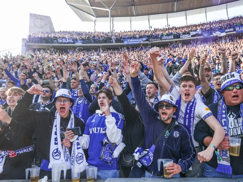 FC Schalke 04: Unfassbar! S04 lÃ¤sst Bundesliga-Fans vor Neid erblassen