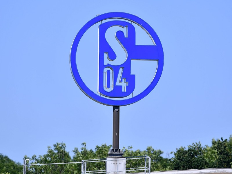 FC Schalke 04: Kurz vor LÃ¤nderspielpause â€“ S04 macht es offiziell